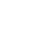 研究業績